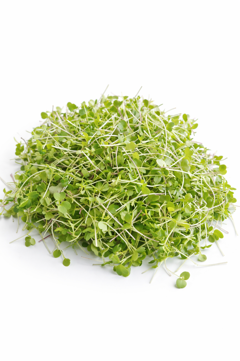 Gourmet Mix – feine Microgreens für die gehobene Küche